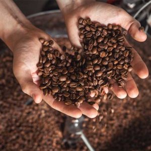 5 Tips Cara Mudah Memilih Biji Kopi Yang Berkualitas