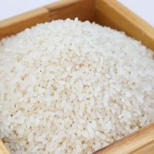 wadah penyimpanan beras