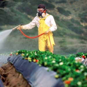 bahaya residu pestisida