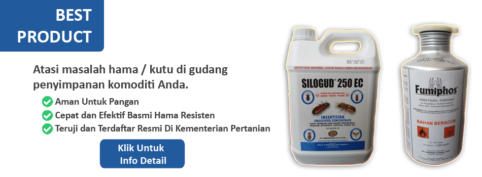 obat kutu beras